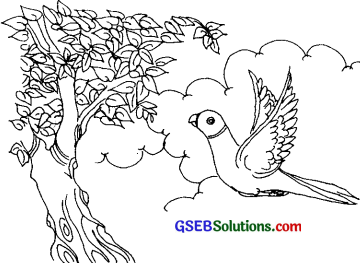 GSEB Solutions Class 7 Sanskrit Chapter 3 कोऽरुक् 11