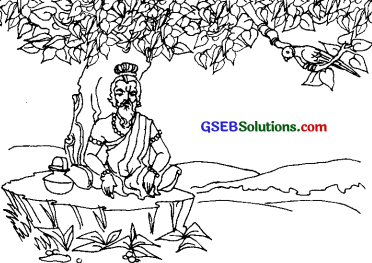 GSEB Solutions Class 7 Sanskrit Chapter 3 कोऽरुक् 13