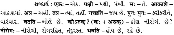 GSEB Solutions Class 7 Sanskrit Chapter 3 कोऽरुक् 16