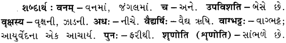 GSEB Solutions Class 7 Sanskrit Chapter 3 कोऽरुक् 18