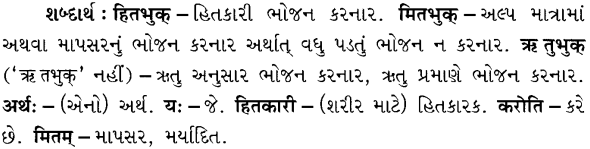 GSEB Solutions Class 7 Sanskrit Chapter 3 कोऽरुक् 19