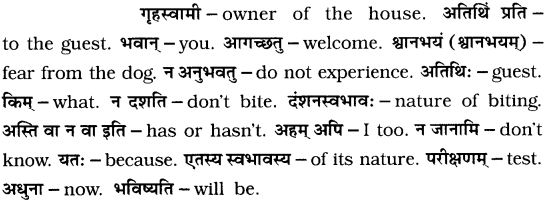 GSEB Solutions Class 7 Sanskrit Chapter 4 हास्ययोगः 8