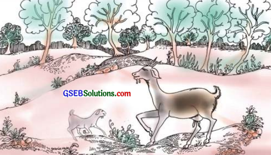 GSEB Solutions Class 7 Sanskrit Chapter 7 विश्वासो नैव कर्तव्यः 1