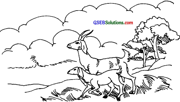 GSEB Solutions Class 7 Sanskrit Chapter 7 विश्वासो नैव कर्तव्यः 20