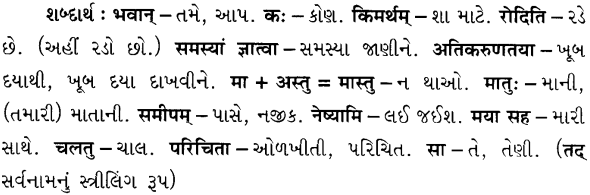 GSEB Solutions Class 7 Sanskrit Chapter 7 विश्वासो नैव कर्तव्यः 23