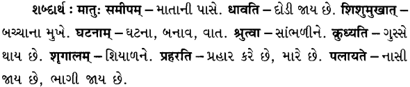 GSEB Solutions Class 7 Sanskrit Chapter 7 विश्वासो नैव कर्तव्यः 26