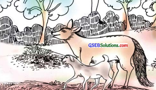 GSEB Solutions Class 7 Sanskrit Chapter 7 विश्वासो नैव कर्तव्यः 3