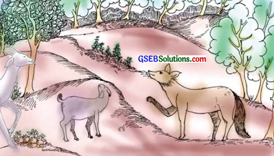 GSEB Solutions Class 7 Sanskrit Chapter 7 विश्वासो नैव कर्तव्यः 4