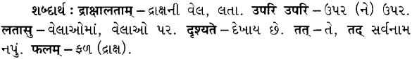 GSEB Solutions Class 7 Sanskrit Chapter 9 आम्लं द्राक्षाफलम् 20
