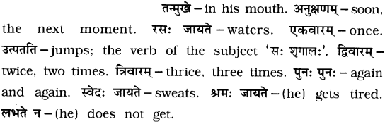 GSEB Solutions Class 7 Sanskrit Chapter 9 आम्लं द्राक्षाफलम् 7