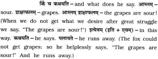 GSEB Solutions Class 7 Sanskrit Chapter 9 आम्लं द्राक्षाफलम् 8