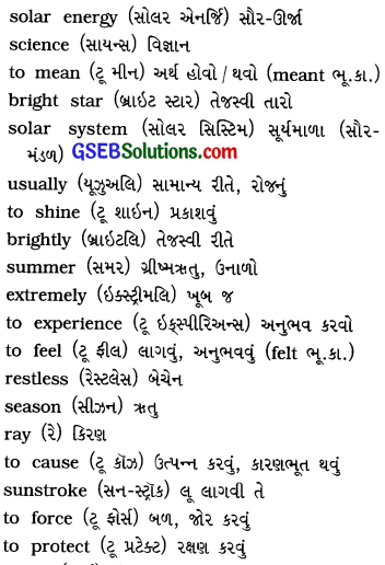 GSEB Solutions Class 8 English Sem 1 Unit 4 Sun-Tour 13