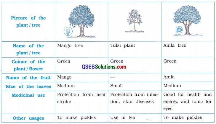 GSEB Solutions Class 8 English Sem 2 Unit 2 You Love English, Don’t You 6