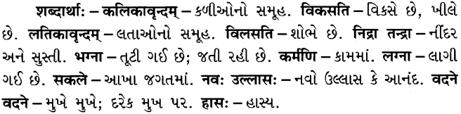 GSEB Solutions Class 8 Sanskrit Chapter 5 प्रभातवर्णनम् 10