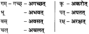 GSEB Solutions Class 8 Sanskrit Chapter 8 मनुष्यसिंहयो मैत्री 2