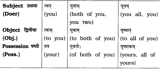 GSEB Solutions Class 8 Sanskrit Chapter 9 भाषासज्जता 19