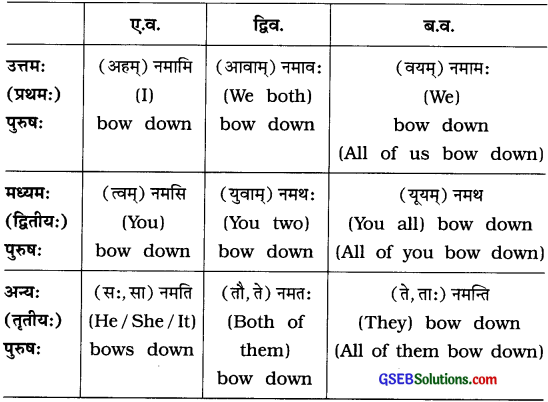 GSEB Solutions Class 8 Sanskrit Chapter 9 भाषासज्जता 24