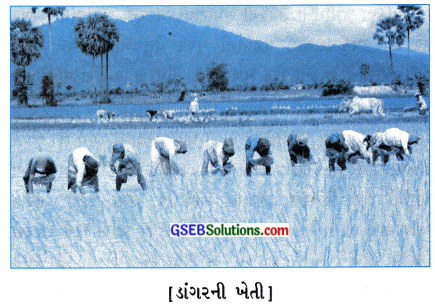GSEB Solutions Class 8 Social Science Chapter 11 ખેતી 2