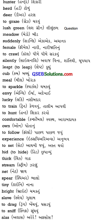 GSEB Solutions Class 9 English Chapter 1 Cheetah's Tears 1