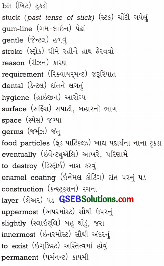 GSEB Solutions Class 9 English Chapter 2 Dental Health 10