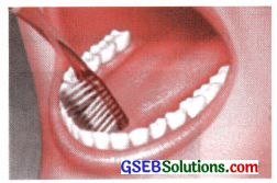 GSEB Solutions Class 9 English Chapter 2 Dental Health 7