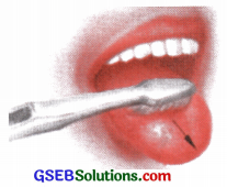 GSEB Solutions Class 9 English Chapter 2 Dental Health 8
