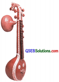 GSEB Solutions Class 9 English Chapter 3 Mohan and his Veena 4