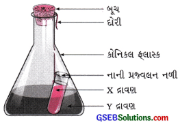 GSEB Solutions Class 9 Science Chapter 3 પરમાણુઓ અને અણુઓ 19