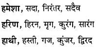 GSEB Class 10 Hindi Vyakaran अर्थ की दृष्टि से शब्द के प्रकार (1st Language) 10