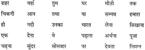 GSEB Class 10 Hindi Vyakaran अर्थ की दृष्टि से शब्द के प्रकार (1st Language) 18