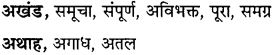 GSEB Class 10 Hindi Vyakaran अर्थ की दृष्टि से शब्द के प्रकार (1st Language) 2