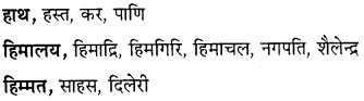 GSEB Class 10 Hindi Vyakaran अर्थ की दृष्टि से शब्द के प्रकार (1st Language) 8