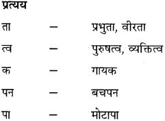 GSEB Class 10 Hindi Vyakaran शब्द विचार (1st Language) 10
