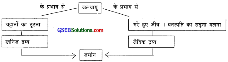 GSEB Solutions Class 10 Social Science Chapter 8 प्राकृतिक संसाधन 1