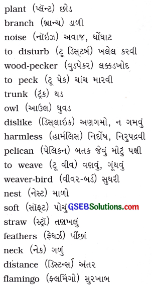 GSEB Solutions Class 6 English Let’s Read More Unit 2 Beautiful Birds 7