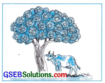 GSEB Solutions Class 6 English Sem 2 Unit 1 Taste of India 19