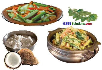 GSEB Solutions Class 6 English Sem 2 Unit 1 Taste of India 9