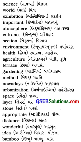 GSEB Solutions Class 8 English Sem 2 Unit 4 Tell Me Why 11