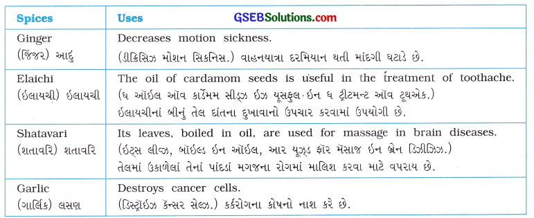 GSEB Solutions Class 8 English Sem 2 Unit 4 Tell Me Why 8