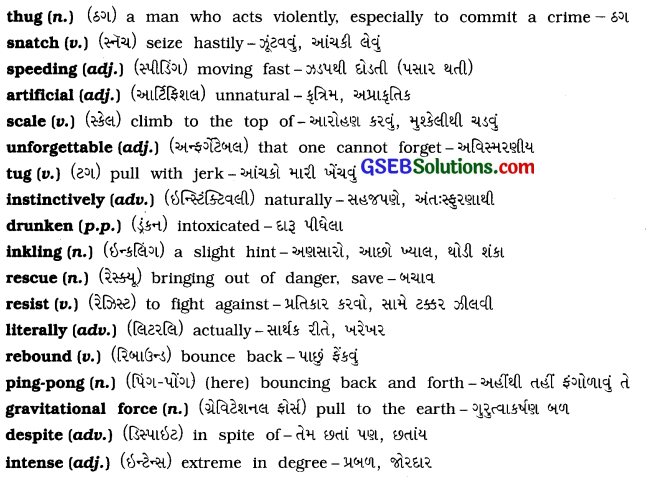 GSEB Solutions Class 11 English Unit 1 Read 1 The Journey of My Life From Earth to Everest 3