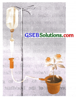 GSEB Solutions Class 11 English Unit 9 Read 3 Drip Irrigation 2