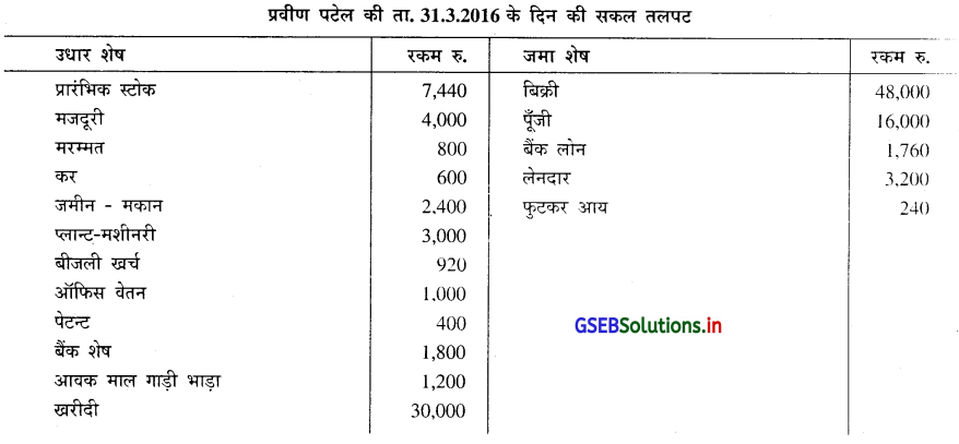 GSEB Solutions Class 11 Accounts Part 1 Chapter 10 सकल तलपट 3