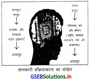 GSEB Solutions Class 11 Psychology Chapter 5 बोधात्मक प्रक्रियाएँ 1