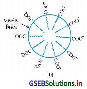 GSEB Solutions Class 12 Chemistry Chapter 5 પૃષ્ઠ રસાયણ 19