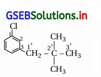 GSEB Solutions Class 12 Chemistry Chapter 10 હેલોઆલ્કેન અને હેલોએરિન સંયોજનો 11