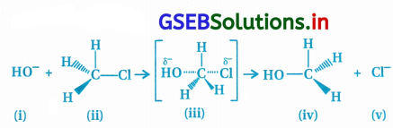 GSEB Solutions Class 12 Chemistry Chapter 10 હેલોઆલ્કેન અને હેલોએરિન સંયોજનો 141