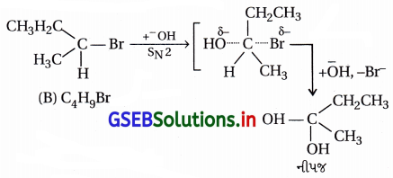 GSEB Solutions Class 12 Chemistry Chapter 10 હેલોઆલ્કેન અને હેલોએરિન સંયોજનો 163