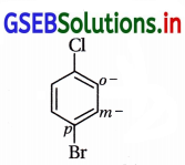 GSEB Solutions Class 12 Chemistry Chapter 10 હેલોઆલ્કેન અને હેલોએરિન સંયોજનો 20