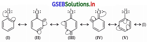 GSEB Solutions Class 12 Chemistry Chapter 10 હેલોઆલ્કેન અને હેલોએરિન સંયોજનો 205