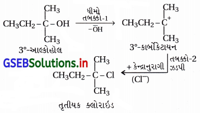 GSEB Solutions Class 12 Chemistry Chapter 10 હેલોઆલ્કેન અને હેલોએરિન સંયોજનો 95